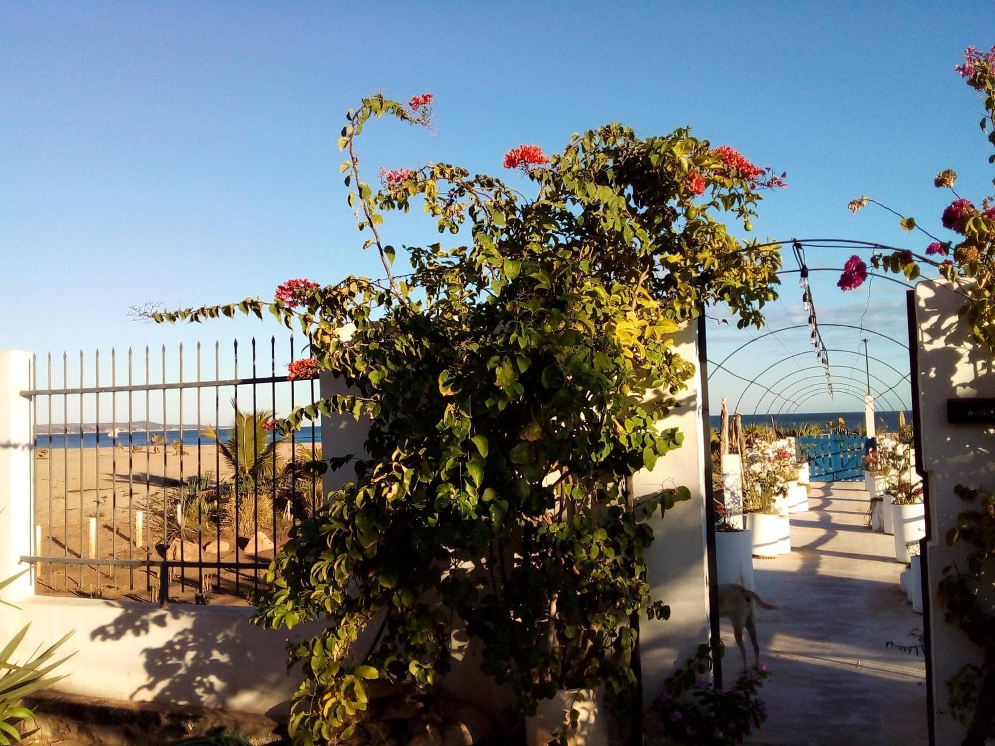 Cytyz Appart Hotel Mahajanga Exteriér fotografie